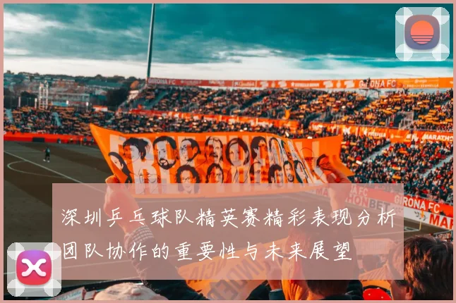 深圳乒乓球队精英赛精彩表现分析团队协作的重要性与未来展望
